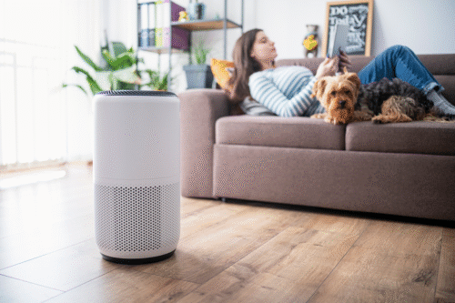 air purifier Concord
