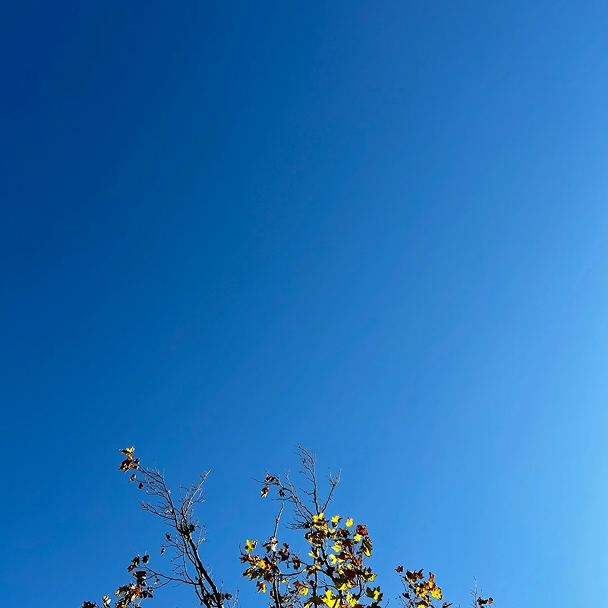 hvac services vallejo ca