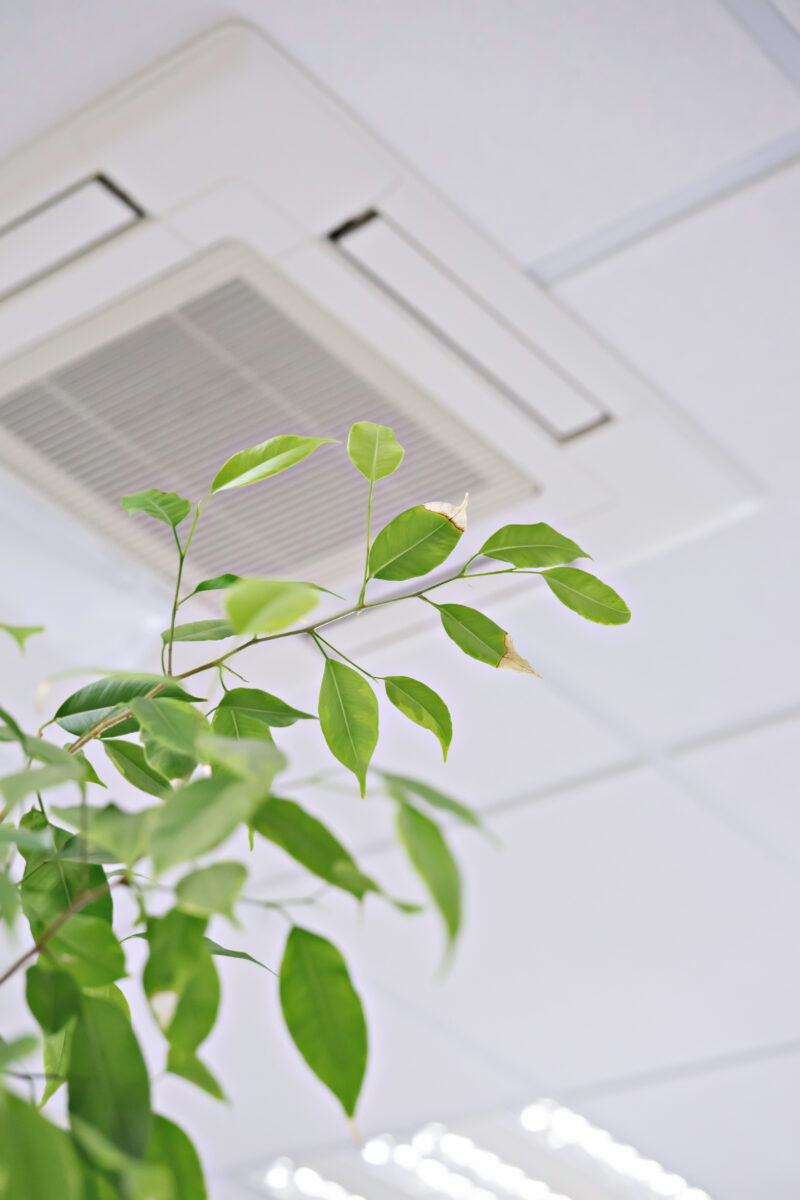 whole house humidifier